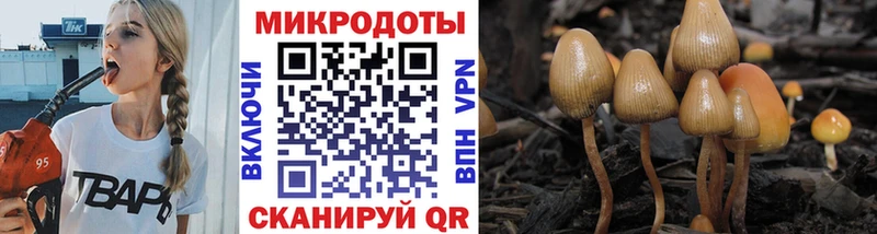 MEGA как зайти  Данков  Галлюциногенные грибы MAGIC MUSHROOMS 